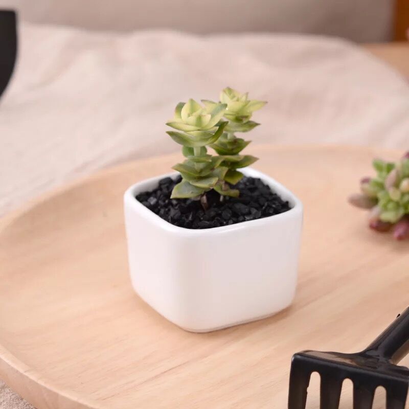 Ceramic Square Geometric Flowerpot Simple Succulent Plant Container Green Planters Small Bonsai Pots Home Decoration