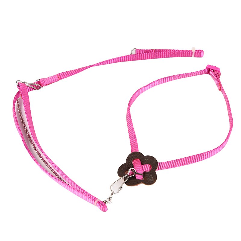 Anti-bite Flying Training Rope Parrot Bird Pet Leash Kits Ultralight Harness Leash Soft Portable Pet Playthings