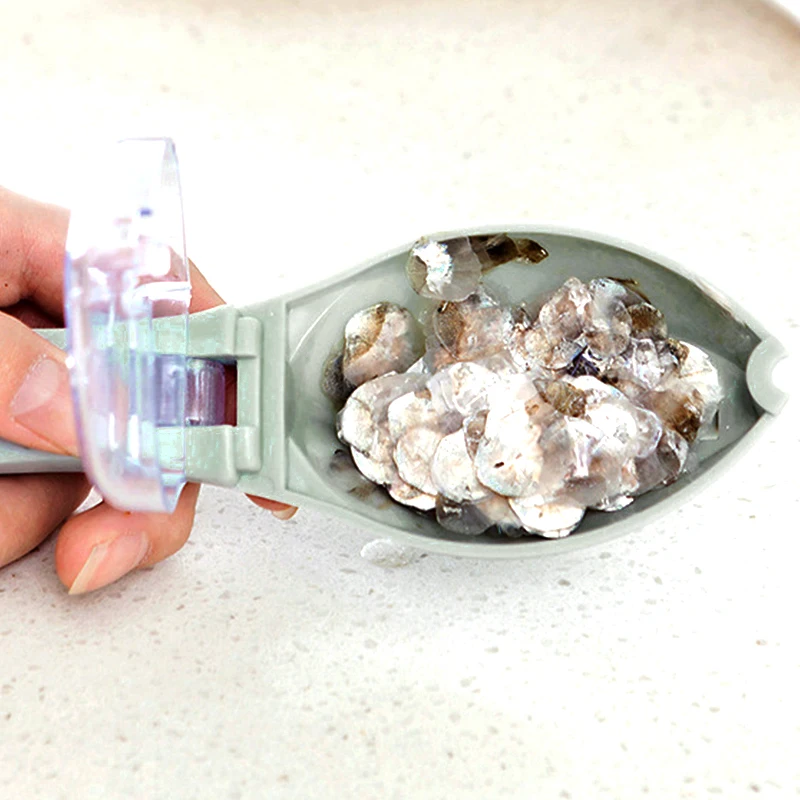 Outil de rabotage et de grattage d'écailles de poisson avec couvercle pour la cuisine domestique, retrait manuel d'écailles de poisson et d'outils de fruits de mer