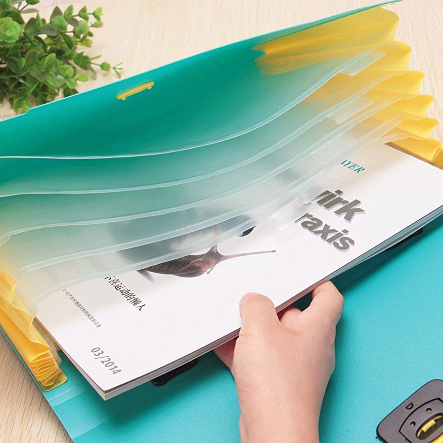 Accordion Folder Expand The Folder With The Handle 13 Pages A4 Size