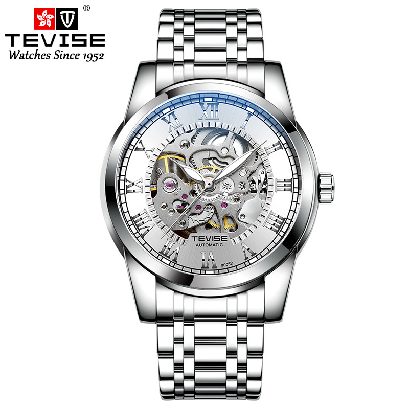 Tevise Horloges Roestvrij Staal Waterdicht Heren Skeleton Horloges Top Luxe Transparante Mechanische Sport Mannelijke Horloges: Silver white