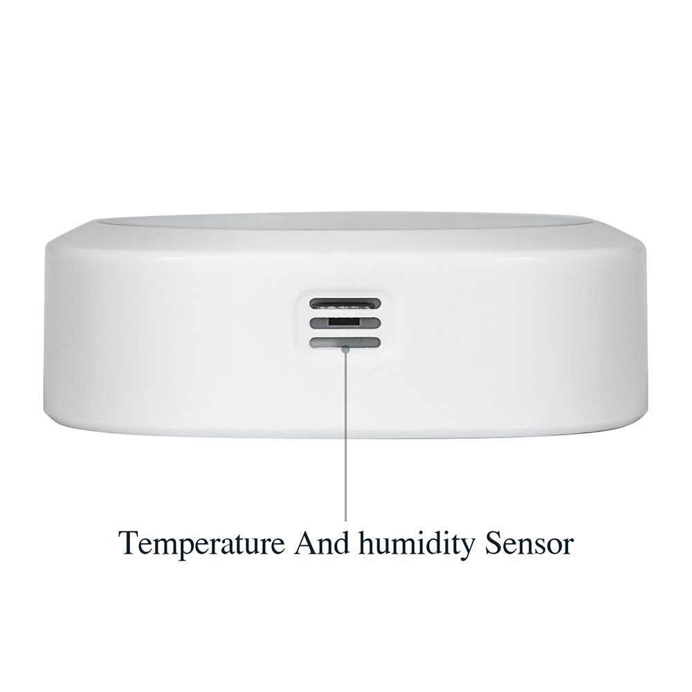 Inkbird IBS-TH1 Plus thermomètre et hygromètre Bluetooth sans fil avec sonde d'aquarium utilisation Multiple pour piscine d'eau salée d'aquarium