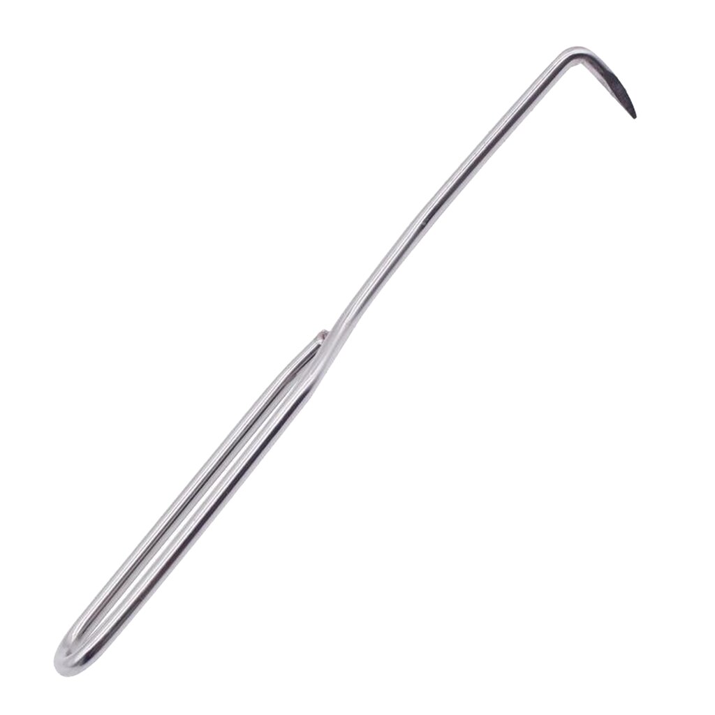 Beekeeping Needle Queen Rearing Grafting Tool Stainless Steel Grafting Tool Bee Hive Scraper Beekeeper - 10' / 24cm