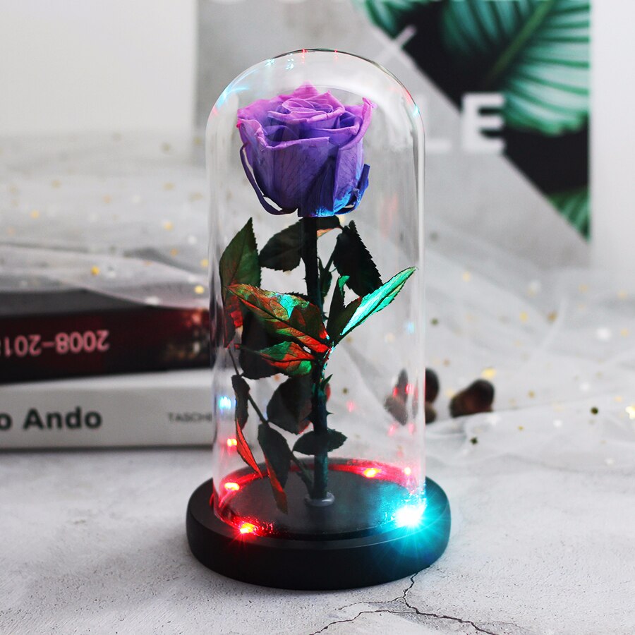 Skønheden og udyret evig rød rose i en glaskuppel med led lys sort base til valentins mors dag: En lilla