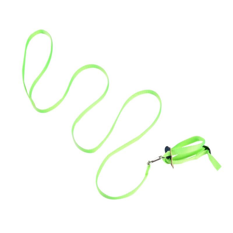 Harnais à col d'oiseau coloré, réglable, Hamster, tortue, lézard, corde de Traction, rênes, collier en forme de 8, laisse pour animaux de compagnie: green
