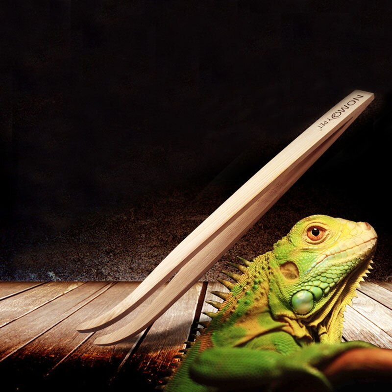 Pincettes coudées pour reptiles, Terrarium, outil d'alimentation en bambou 4X7B