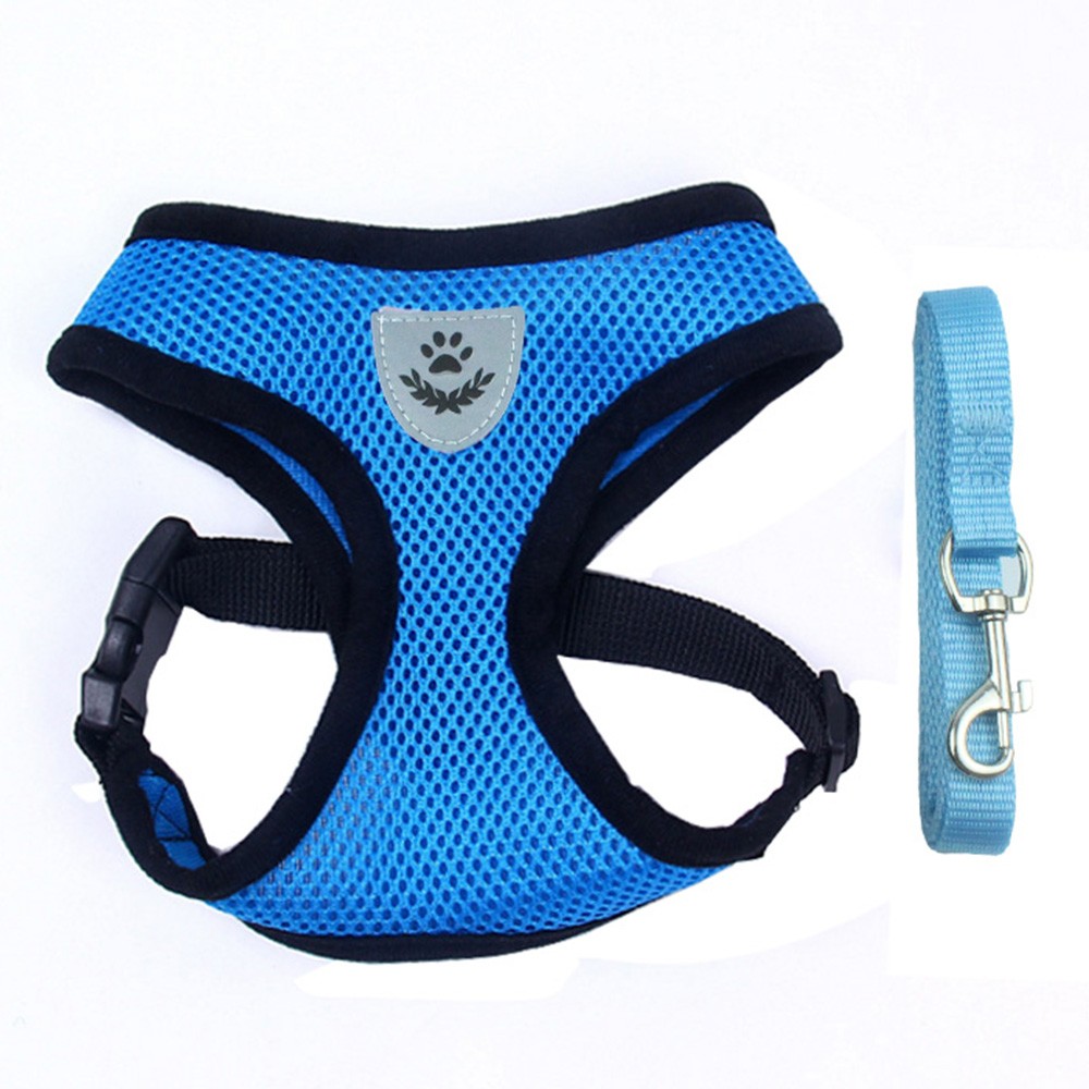 Ademend Pet Harness en Leash Set Nylon Mesh Harnas Hond Vest Leash Verstelbare Pet Harnassen Leidt voor Kleine/Medium /grote Hond: Blue / L