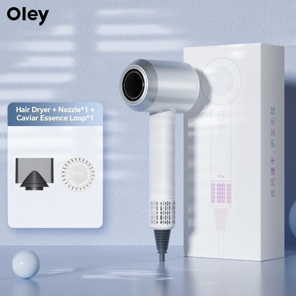 Oley-secador de pelo eléctrico, anión de secado rápido, cuidado del cabello, electrodomésticos de alta velocidad, herramientas de estilismo para el cuidado Personal, multifunción: Gris claro / EU