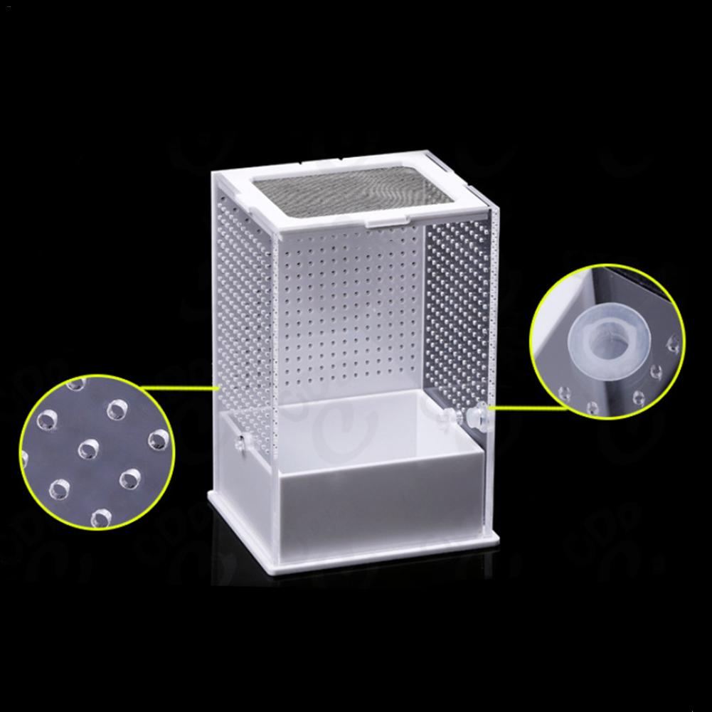 Transparent Acrylic Reptile Feeding Box Insect Box Mantis Breeding Box Insect Reptile Cage Terrarium Feeding Box