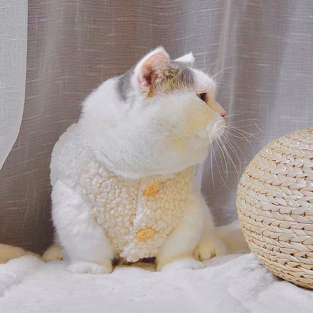Gilet en peluche pour chat, vêtements à la , résistant au froid, Teddy, épaississement de la chaleur, en cachemire, pour animaux de compagnie, automne et hiver