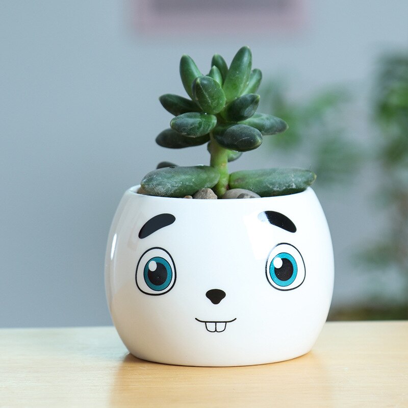 Keramiek gezichtsuitdrukking bloempot eenvoudige vetplant container groene plantenbakken kleine bonsai potten huisdecoratie