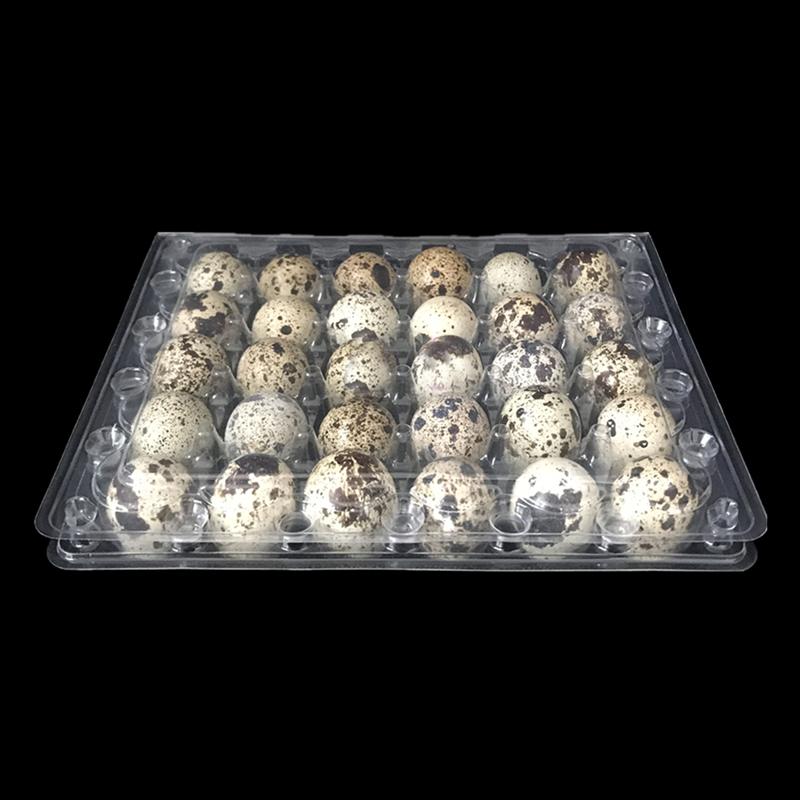 12 Pcs 24 Grids Plastic Egg Flat Quail Egg Storage Box Egg Carrier Packaging Box for Shop Home Restaurant
