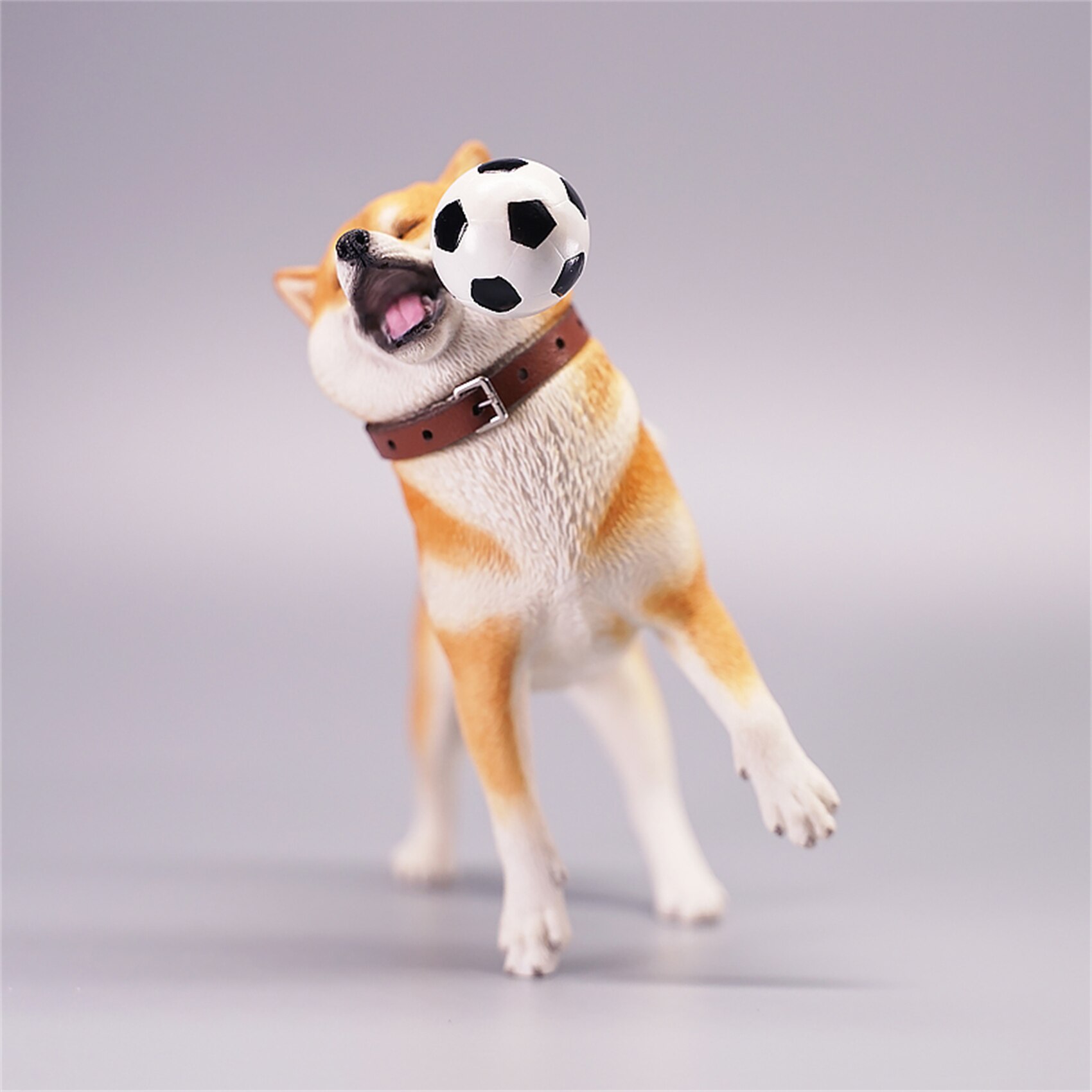 JXK 1:6 Scale Shiba Inu Figure Dog Pet Healing Figure Cute Canidae Animal Collector Toy Resin Desktop Decoration: JXK072B