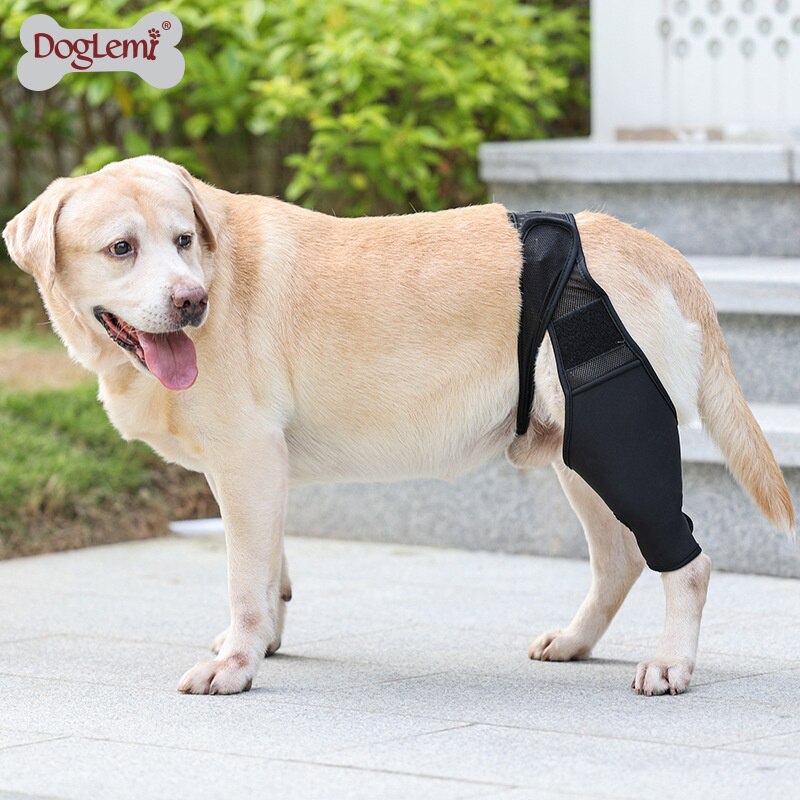 Huisdier Knie Pads Voor Achterpoten Letsel Herstellen Benen Protector Hond Kniebrace Verwondingen Been Brace Gezamenlijke Wrap Hond Verstelbare