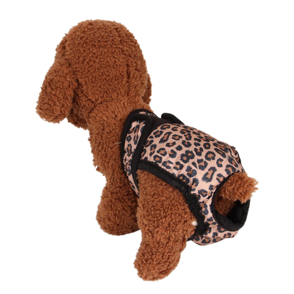 Huisdier Fysiologische Broek Hond Menstruele Teddy Polka Dot Riem Warmte Gezondheid Slipje Spot Eenvoudig en Schoon Beschermen Huisdier Gezondheid: Brown / S