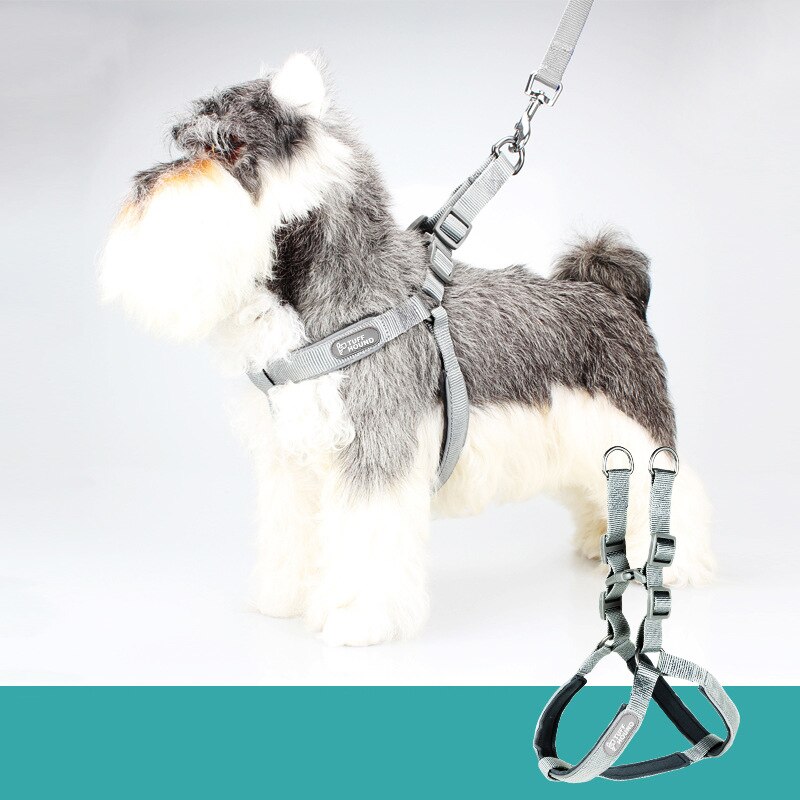 View of CAWAYI KENNEL Adjustable Pet Harness Training Walk... - Grandado
