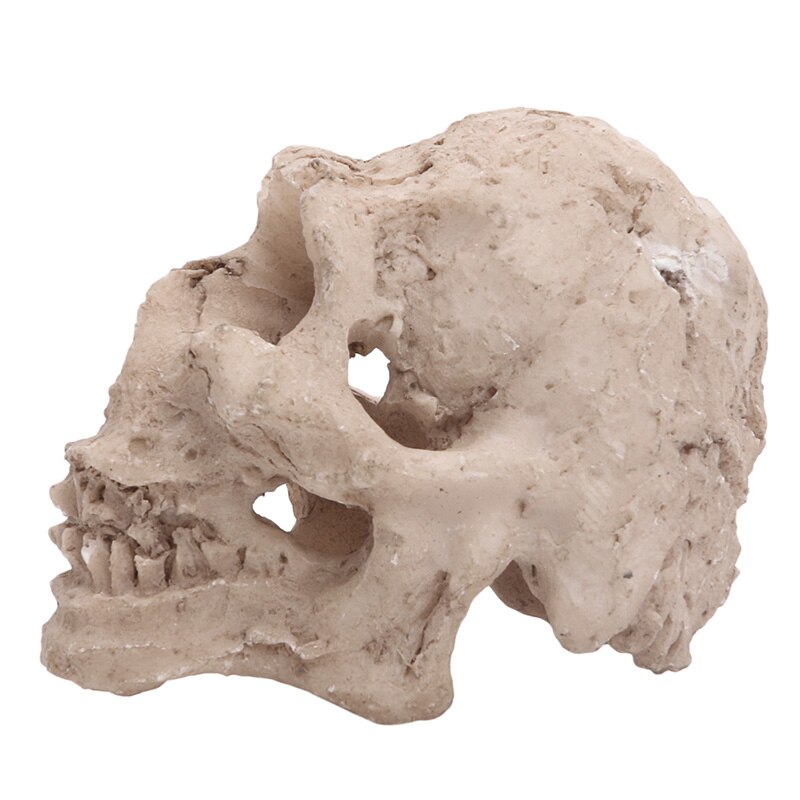 Aquarium Artifical Rhino Sheepshead Resin Skull Terrarium Decoration Fish Tank Simulation Statue Landscape Reptile Cave House: skull