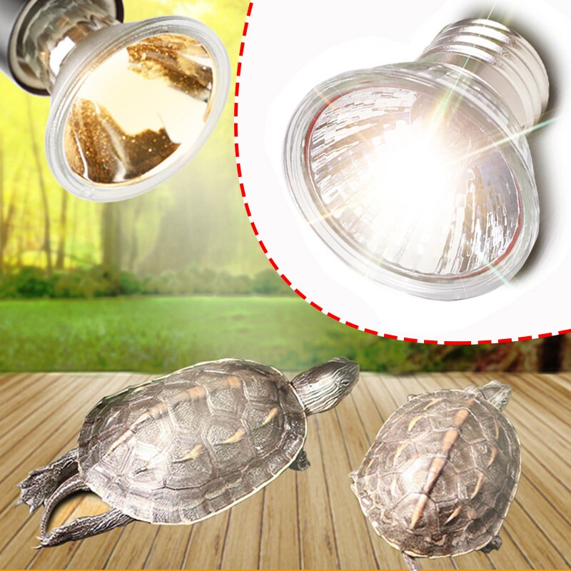 Haustier Heizung Lampe Eidechse Schildkröte Spinne Reptilien Kasten Heizung Wärmer Wärme Lampe Grübler 25W/50W/75W