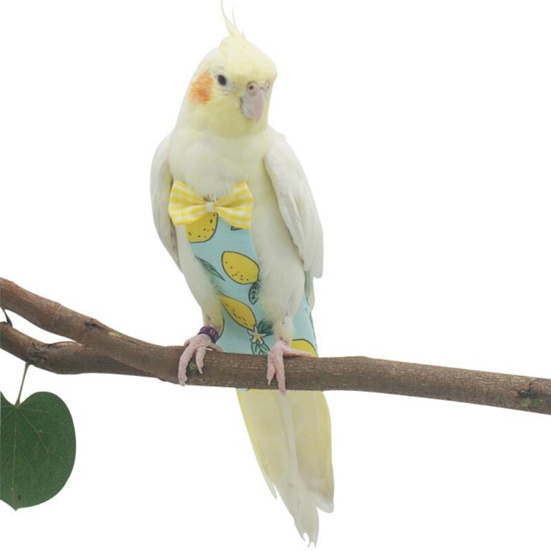 Couche-culotte pour perroquet, combinaison de vol avec nœud, vêtements pour perruches, Lovebird, Conure, perruche, petit, moyen et grand oiseau