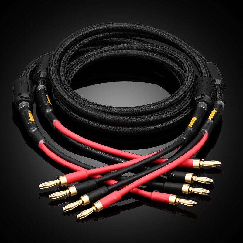 HIFI speaker cable pure copper with silver-plated nerve cable main speaker surround sound cable connection dedicated cable: banana to banana / 3m