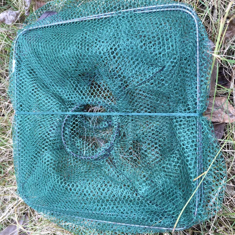 Fishing Collapsible Trap Cast Keep Net Crab Crayfish Lobster Catcher Pot Trap Fish Net Eel Prawn Shrimp Live Bait 1pc