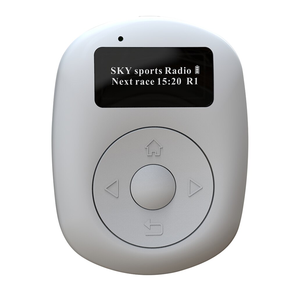 OLED Screen Portable Radio DAB DAB+ Sports Music Player FM Bluetooth-compatible Handsfree Broadcasting Radio