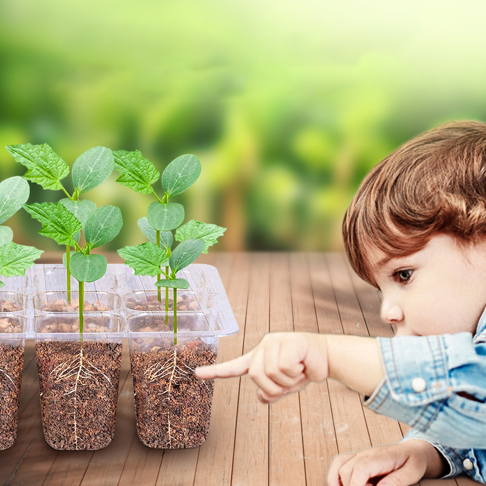 Boîte de Germination pour plantes de jardin, 10 pièces, pépinière, semis, plantation de graines, Kit de plateau de démarrage, boîte de croissance, Propagation pour le jardinage