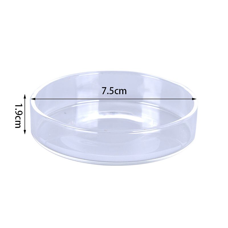 Cuencos de alimentación de cristal transparente para acuario, bandeja alimentadora de comida de gambas para comer, redondo, barato, , 1 unidad: N3