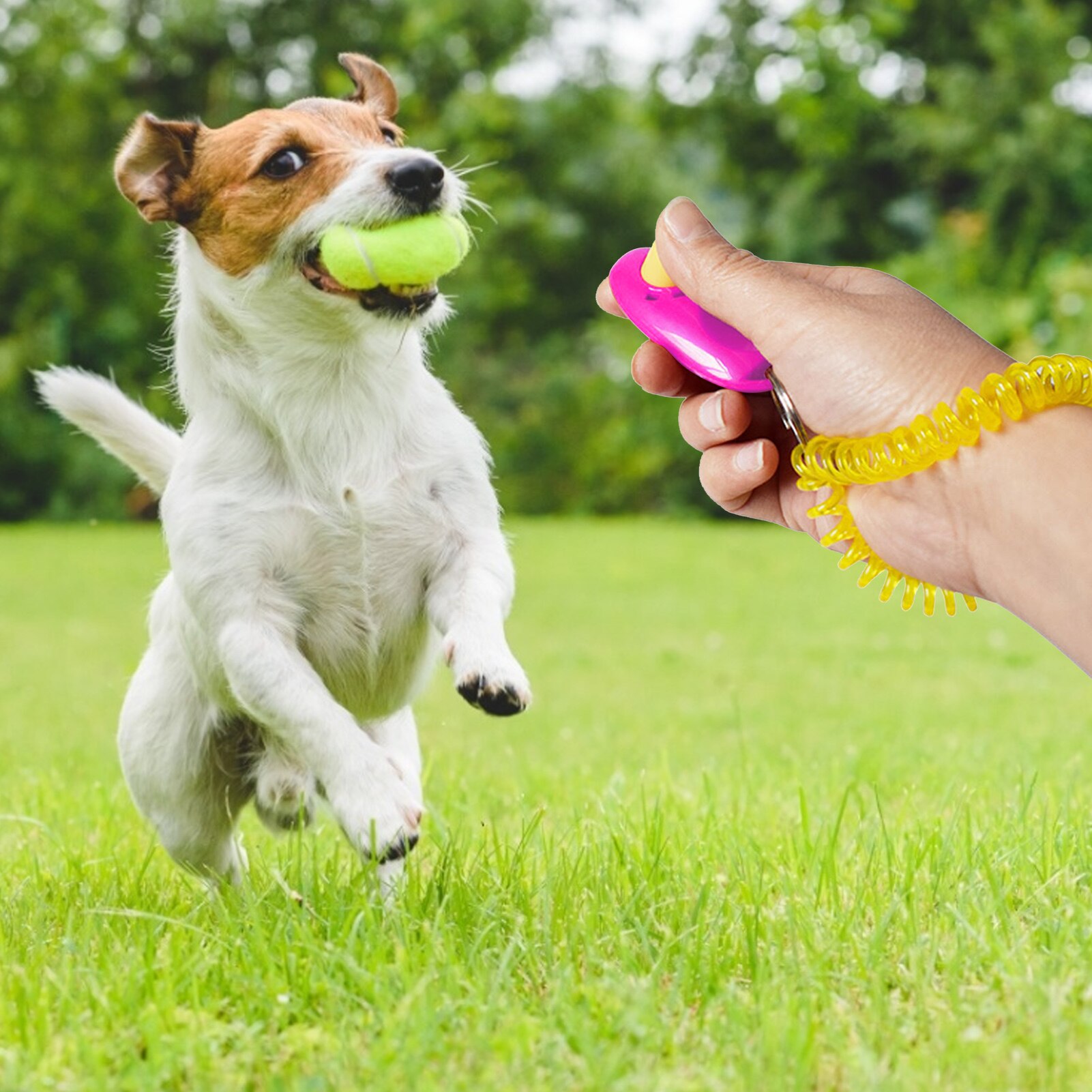 Doggy Clicker Pet Dog Training Clicker Animal Training Clickers For Dog Puppy Stop Barking Training Tool Pet Products Supplies