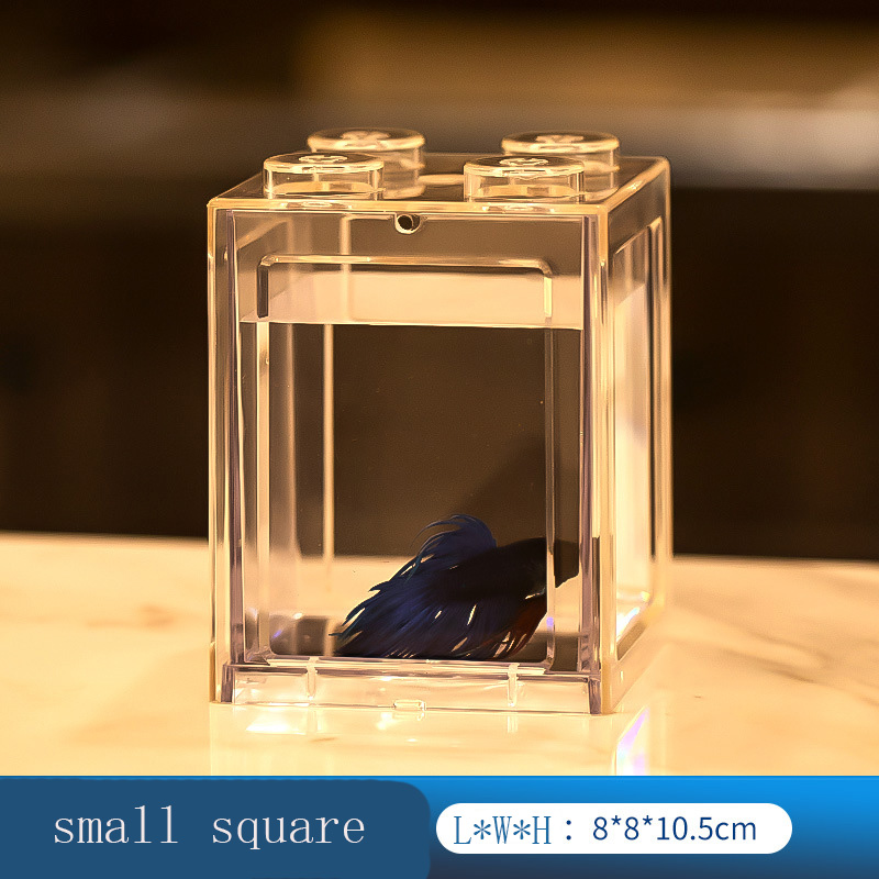 Minni Betta-pecera para tortugas, reptiles, medusas, peces dorados, camarones, bolas de musgo, insectos, caja de Decoración de mesa, suministros para acuario: Azul