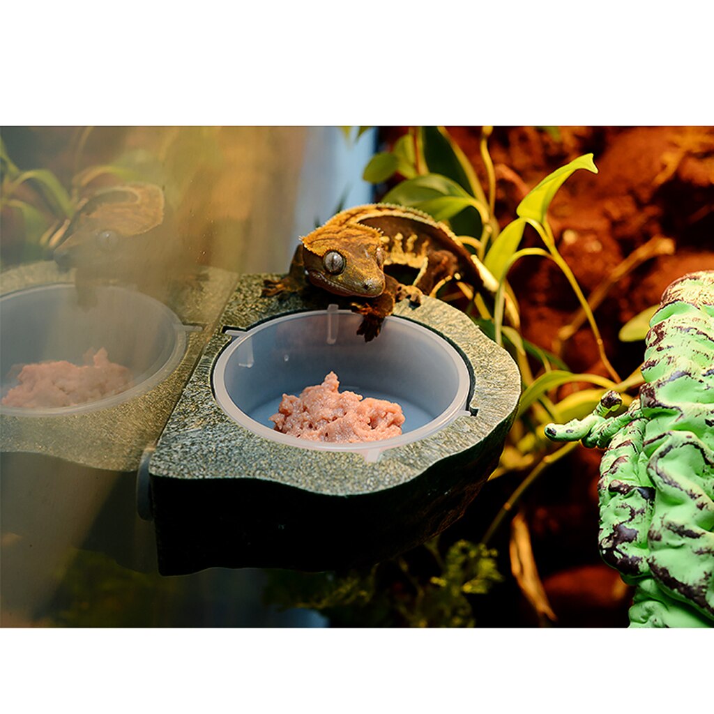 Magnet Gecko Feeder Ledge Reptile Terrarium Decorative Feeding Plastic Cup Bowl for Reptiles Crested Gecko Feeding