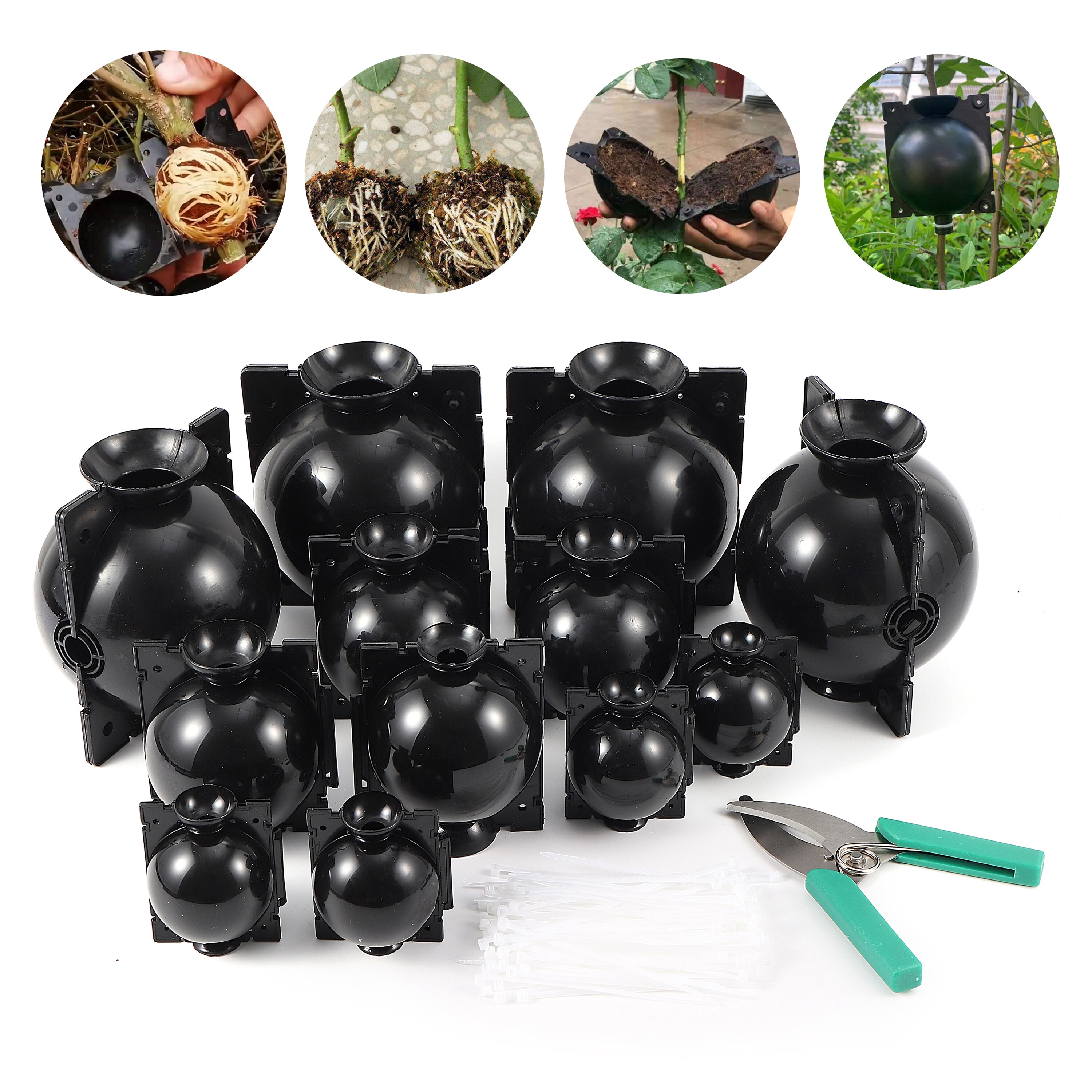 Kit de ciseaux de greffage, boule de croissance de plantes, boîte de Propagation de plantes de jardin, greffage de jeunes arbres, outil de pépinière 3 couleurs