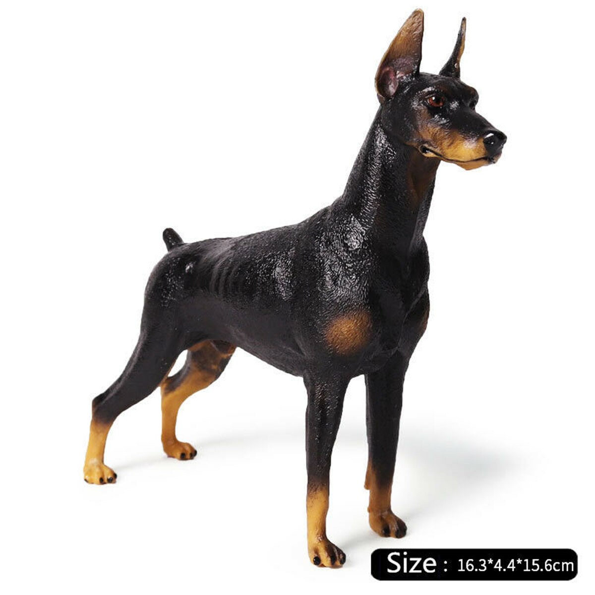 Tysk dobermann pinscher hund kjæledyr dyr figur modell leketøy samler pedagogisk leker modell dekorasjon låve bursdag