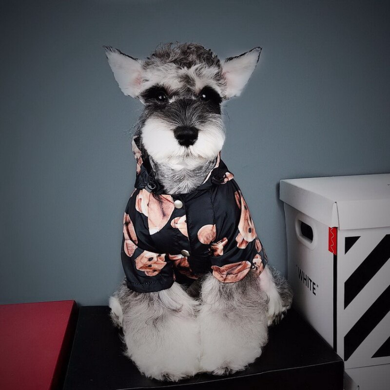 Abrigo impermeable para perros y gatos, gabardina para perros, Bulldog Francés, osito Schnauzer a prueba de viento y resistente a la lluvia, tendencia de