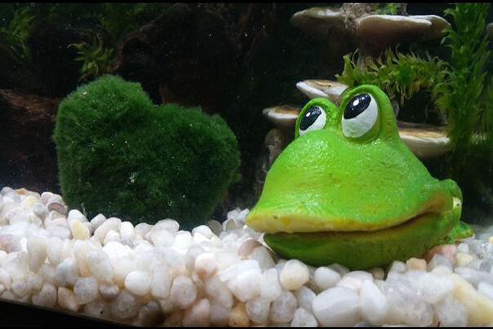 EmoursTM Cute Frog Air Stone Bubbler Live-Action Aerating Aquarium Ornament Aquatic Resin Decoration for Fish Tank