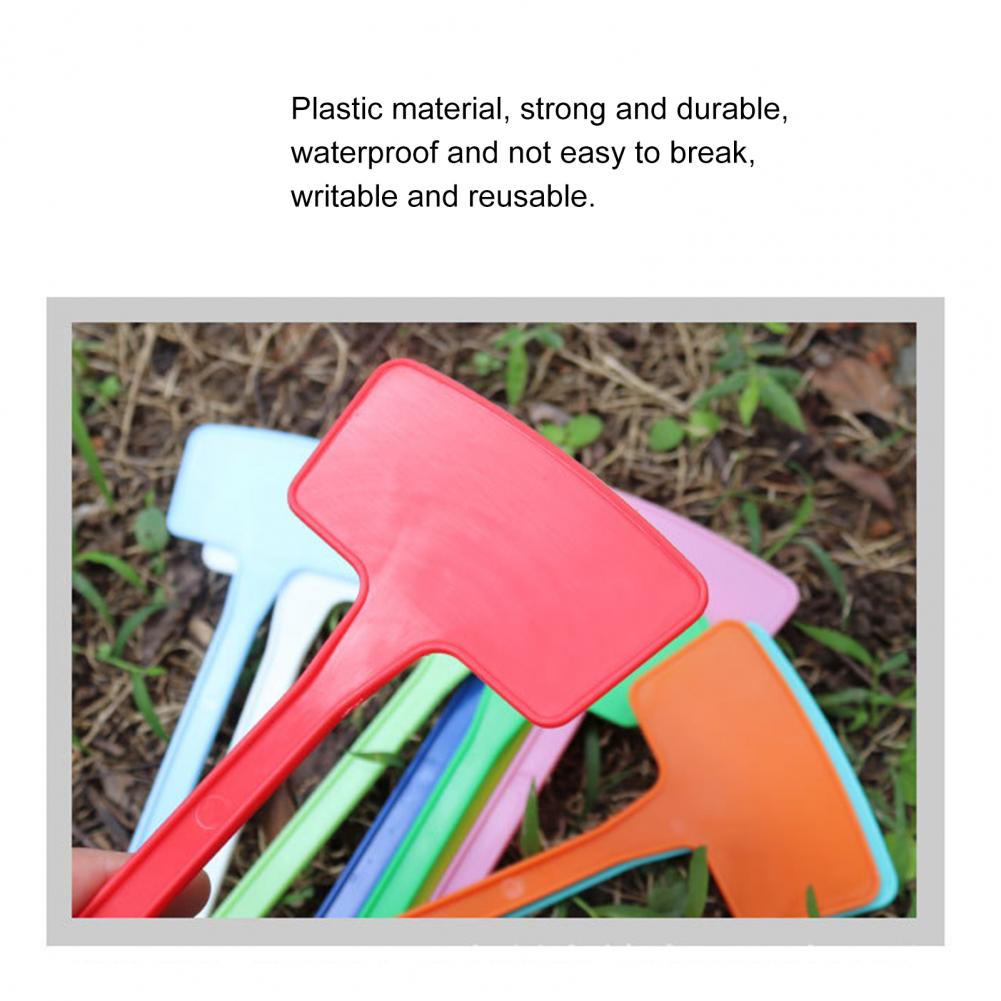 10 sztuk/zestaw 20cm etykiety na rośliny wodoodporna konstrukcja wkładki w kształcie litery T plastikowe znaczniki na rośliny klasyfikacja znak sortowania bilet robić ogrodnictwa