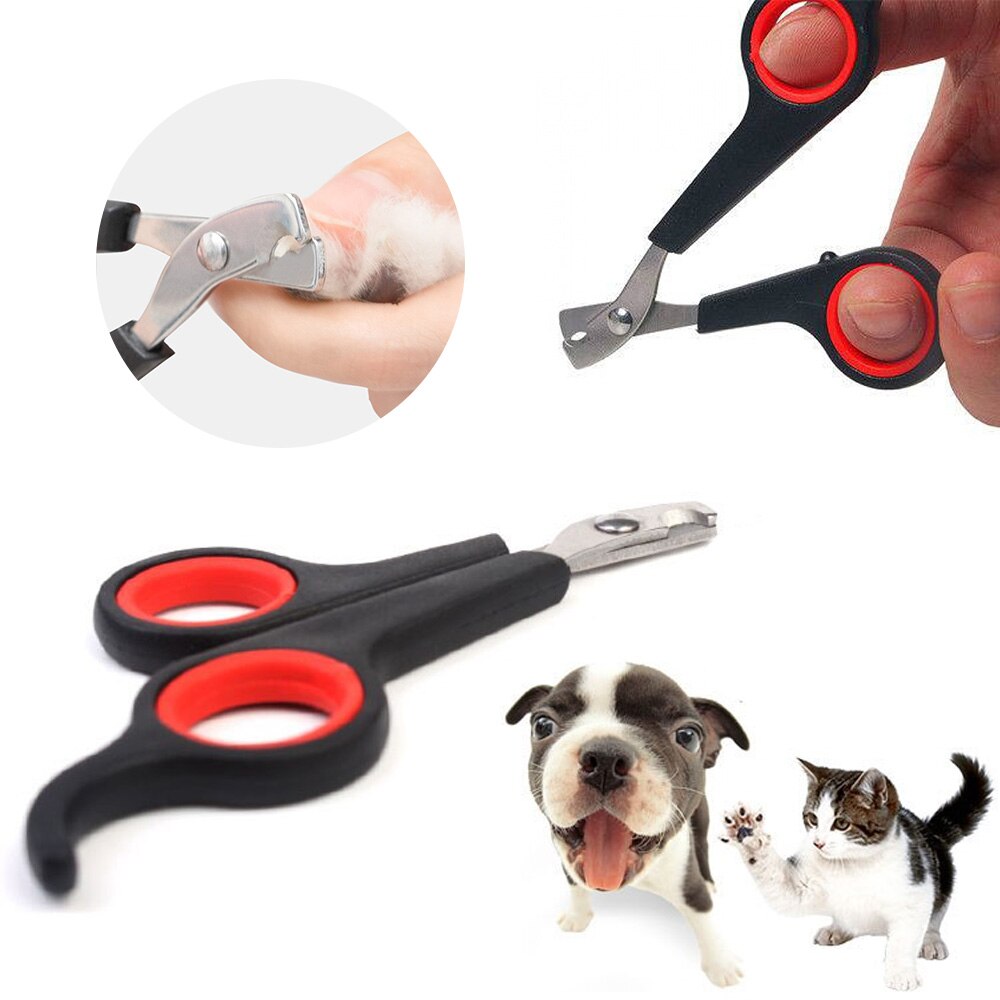 Pet Nail Claw Grooming Scissor Clippers Convenient Pet Toe Care for Pet Bird Parrot Dog Cat Pet Grooming Supplies