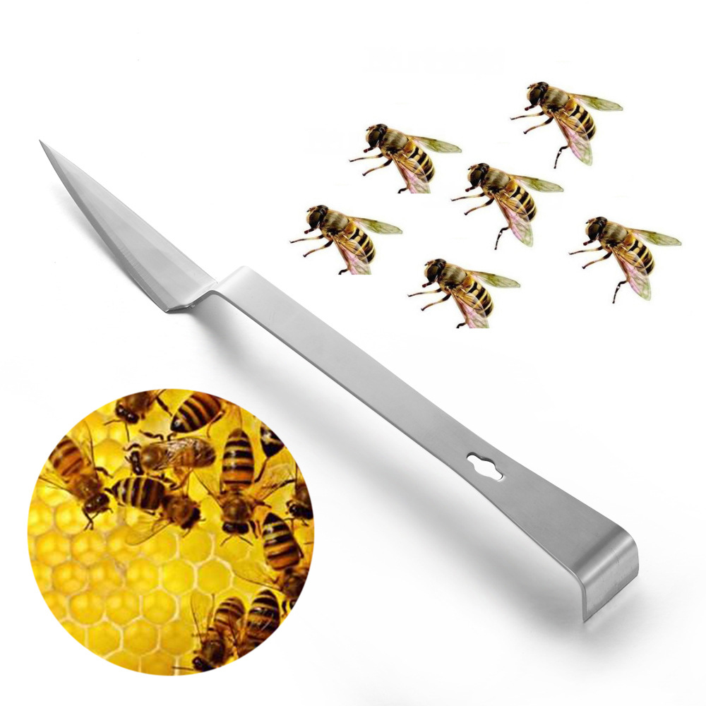 1Pcs Rvs Bijenteelt Cut Honing Schraper Ontzegeld Vork Mes Bijenteelt Equipement Bee Doos Beeing Levert Accessoires