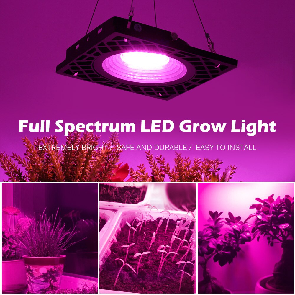 220v led vækstlys fuldt spektrum indendørs voksende lampe 500w højlyseffektive phyto lamper til planter dyrke telt drivhus