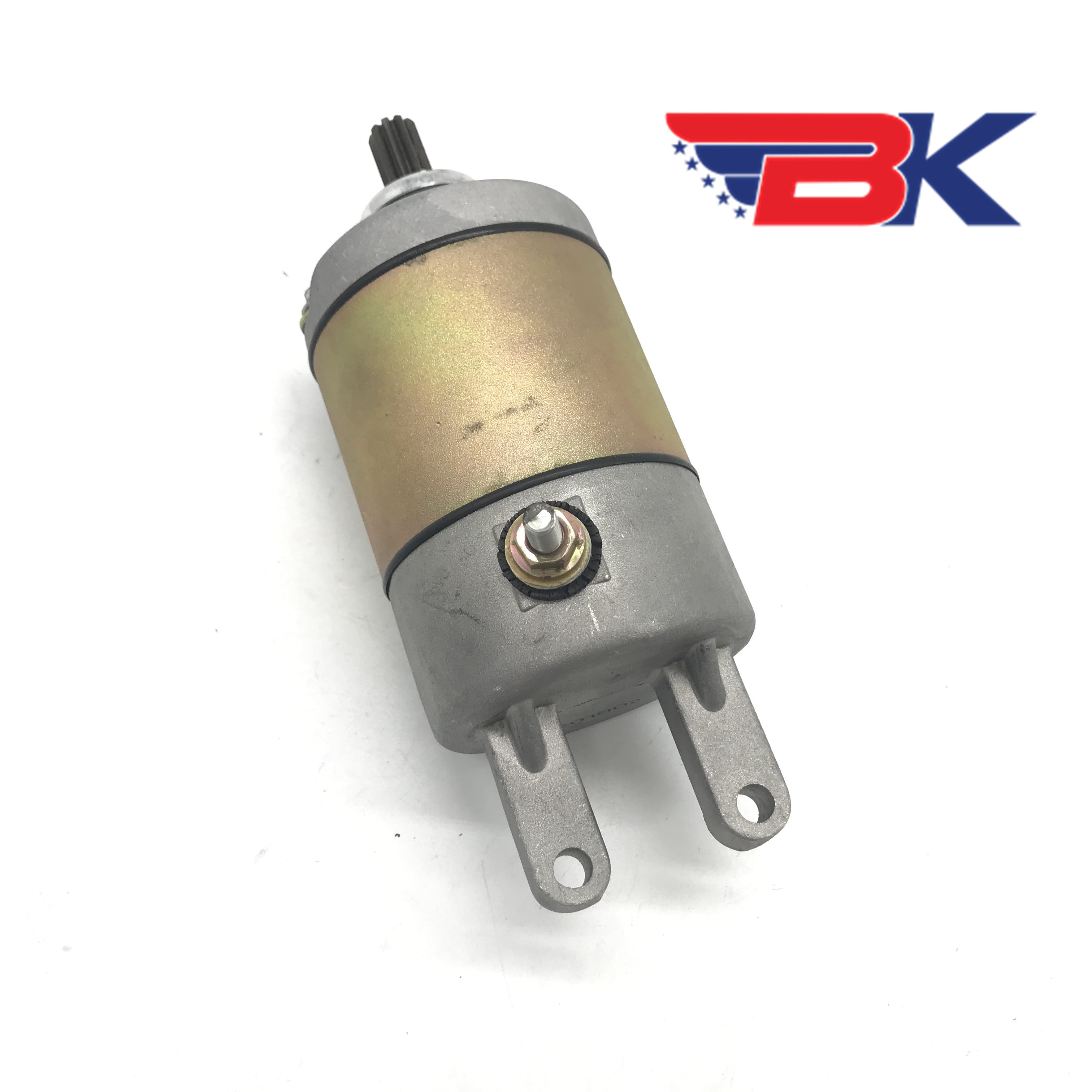 Starter Motor for Chinese Feishen GSMOON Buyang Linhai Jinling 260cc 300cc Scooter ATV Quad JLA-925E 921E Parts