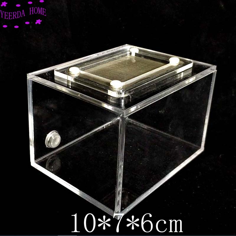 10x7x6cm Ant Reptile Box with Breathable Net Feeding Box ant nest active area ,ant farm acryl box: 2pcs