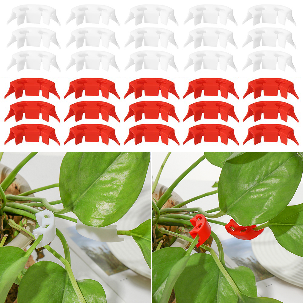 100 pces planta videira mudas enxertadas grampos de retenção de 90 graus planta bender para flor tomate ramos de frutas transplante apoio