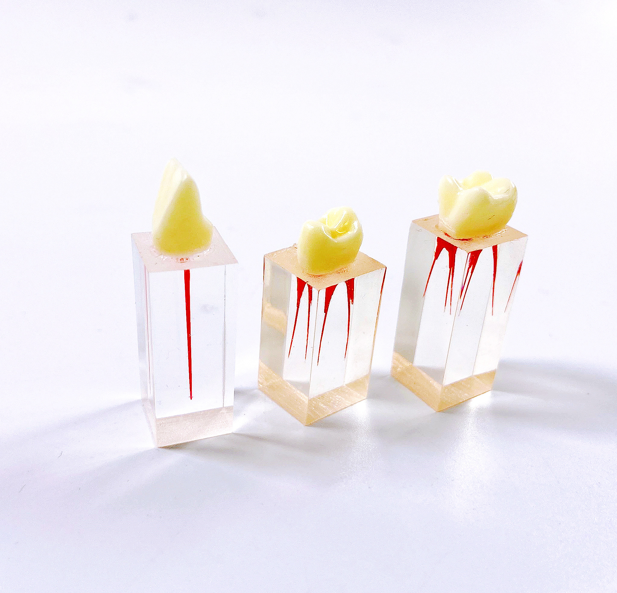 Dental Endo Training Block Endodontics Student Teaching Model Dentistry 3 Styles Practice Model