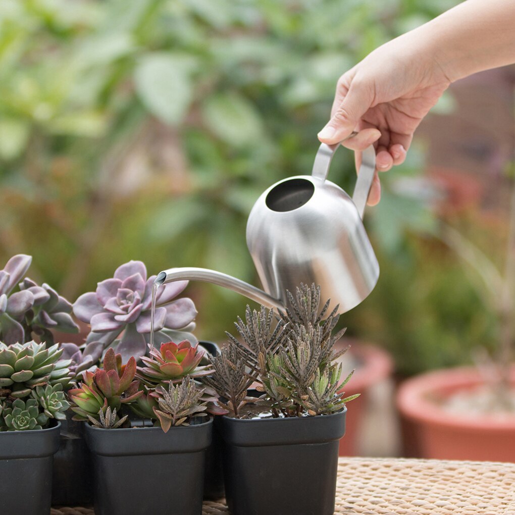 Mini Indoor Planten Gieter Geborsteld Rvs Gieter Voor Kinderen Kantoor 500Ml