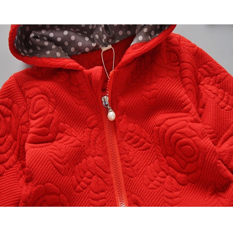 Lente meisje print leuke zoom jas jassen voor baby meisjes kleding katoen capuchon outfit sport bovenkleding jas