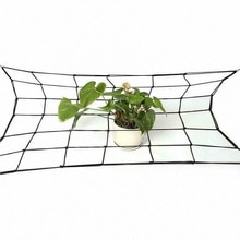 Red elástica para árboles frutales, malla protectora, tienda de cultivo hidropónico, enrejado de plantas