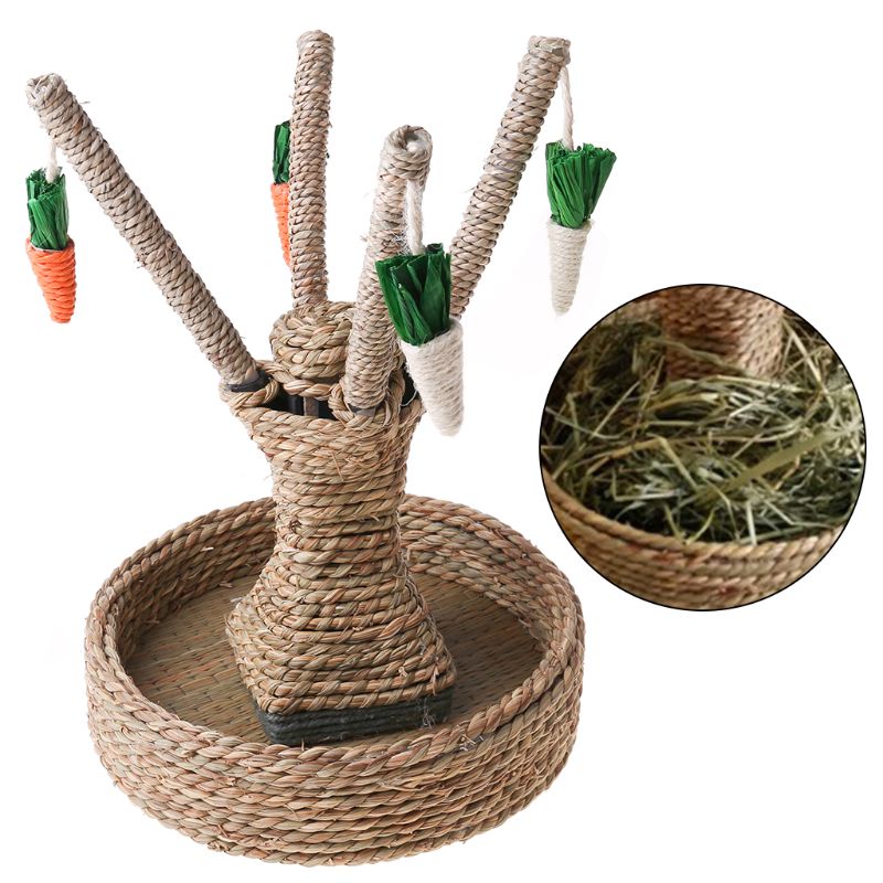 Small Animal Activity Rabbit Toy Fun Carrot Tree Boredom Breaker Rodent Dutch Rat Bite Playing Interaction Lovely Pet