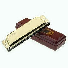 10 Hole Blues Harmonica Standard Key Of C 20 Tones Harmonica Blues Mouth Organ For Beginner Protable Musical