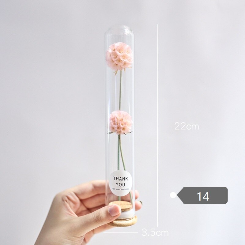Dried Flower Glass Test Tube Decorations Family Living Room Study Specimens Ornaments: 14