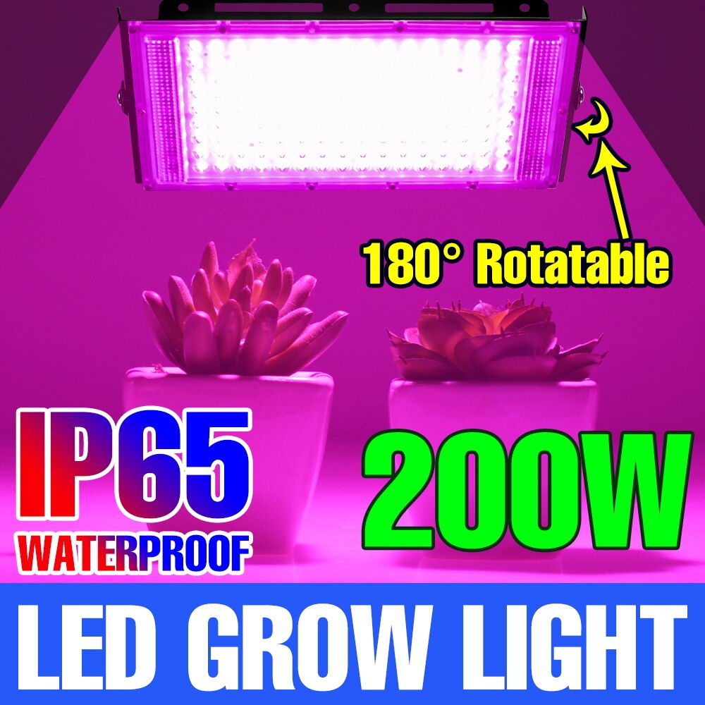 Lampe horticole de croissance LED, 200W, 220V, étanche IP65, spectre complet, éclairage pour serre/chambre de culture hydroponique, plantes